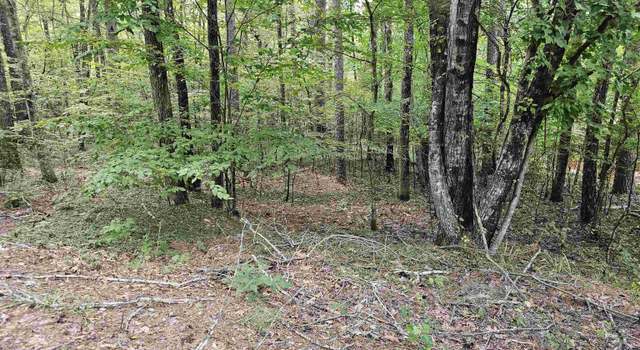 Photo of 5 Tistaban Ln, Hot Springs Village, AR 71909