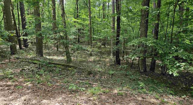 Photo of 5 Tistaban Ln, Hot Springs Village, AR 71909