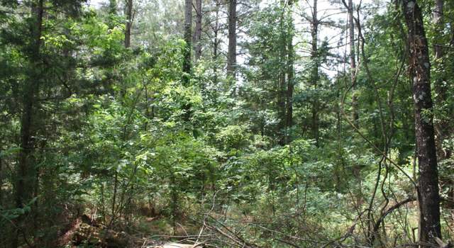 Photo of Hwy. 278 & Hempstead 313, AR