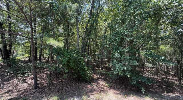 Photo of 14 Versalles Ln, Hot Springs Village, AR 71909