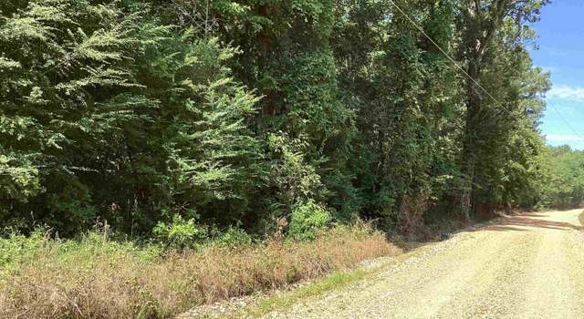 Photo of 000 Hempstead 24, Blevins, AR 71825