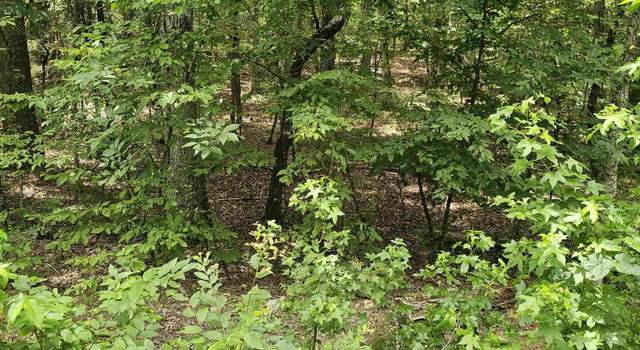 Photo of 58 Pamplona Way, Hot Springs Village, AR 71909