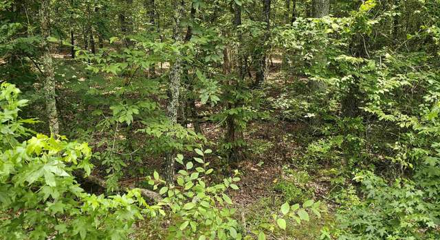 Photo of 58 Pamplona Way, Hot Springs Village, AR 71909