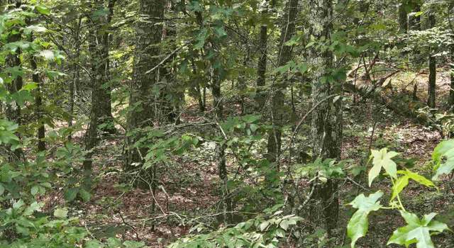 Photo of 58 Pamplona Way, Hot Springs Village, AR 71909