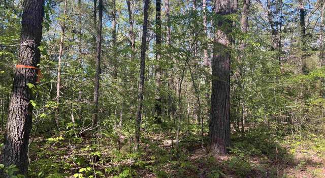 Photo of Oakland Rd, Saint Joe, AR 72675