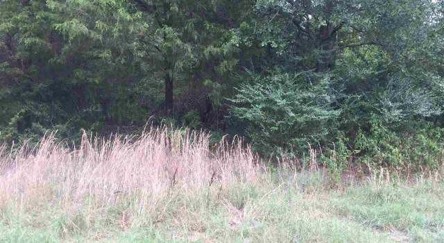 Photo of 134 Jerry Ln Lot 2, Judsonia, AR 72081
