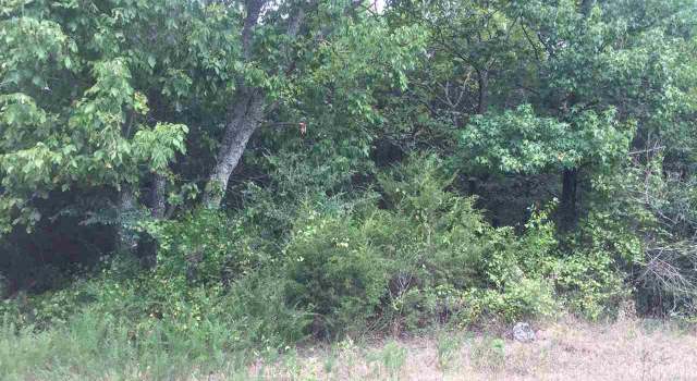 Photo of 134 Jerry Ln Lot 3, Judsonia, AR 72081
