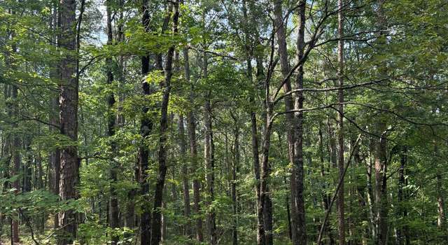 Photo of Tbd Almansa Ln, Hot Springs Village, AR 71909