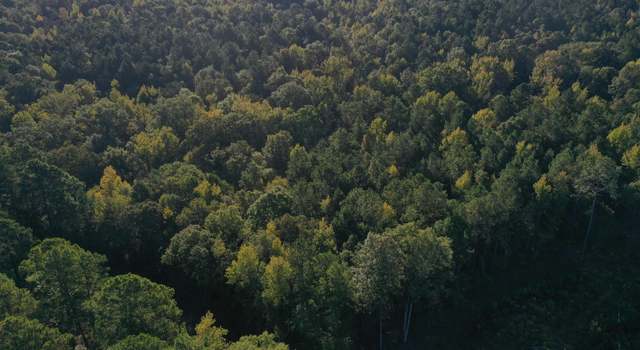 Photo of Red Springs Rd, Gurdon, AR 71743