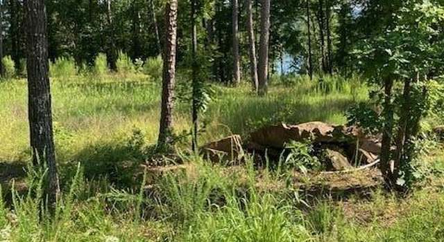 Photo of 149 Woodland Shores Cir, Clinton, AR 72031