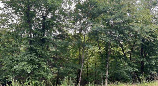 Photo of 114 Pamplona Way, Hot Springs Village, AR 71909
