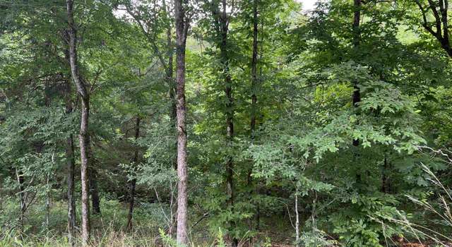 Photo of 114 Pamplona Way, Hot Springs Village, AR 71909