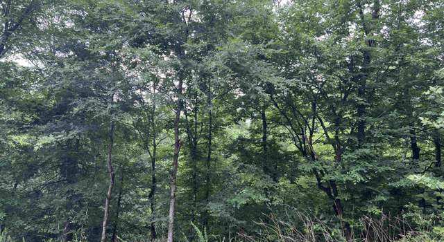 Photo of 114 Pamplona Way, Hot Springs Village, AR 71909