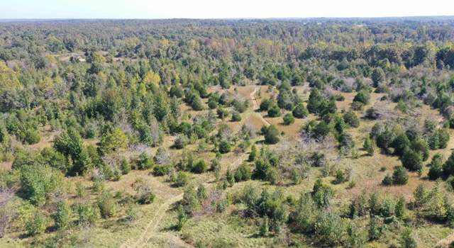 Photo of 000 County Road 122, Sage, AR 72573