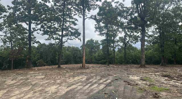 Photo of 533 Eagle Vw, Clinton, AR 72031