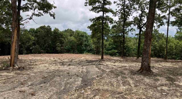 Photo of 533 Eagle Vw, Clinton, AR 72031