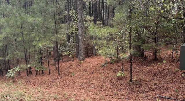 Photo of 19 Pizarro Dr, Hot Springs Village, AR 71909