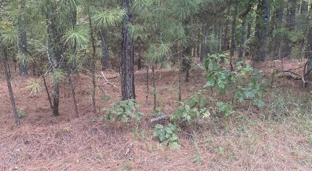 Photo of 19 Pizarro Dr, Hot Springs Village, AR 71909