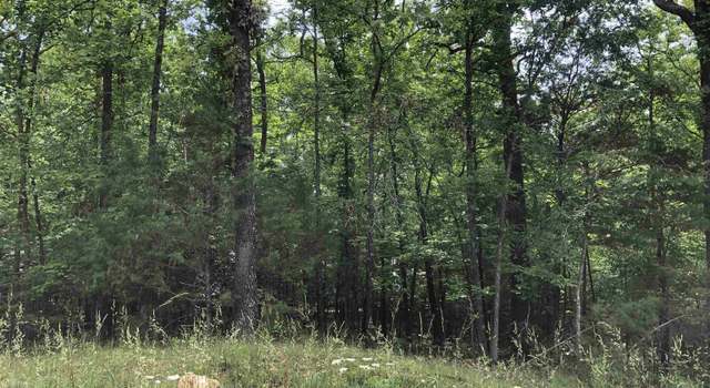 Photo of N Summit Ridge Dr, Williford, AR 72482