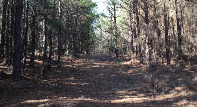 Photo of Prim Rd, Prim, AR 72130