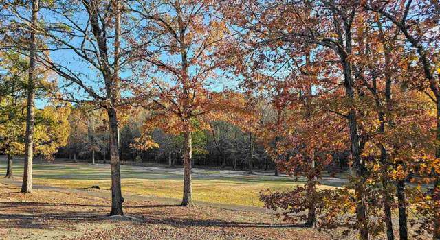 Photo of 6 Hendaye Ln, Hot Springs Village, AR 71909