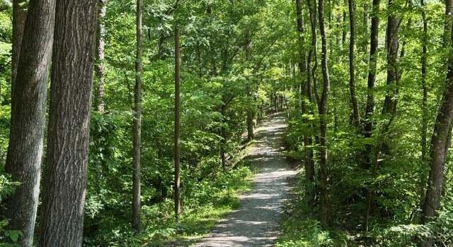 Photo of 2 Dias Ln, Hot Springs Village, AR 71909