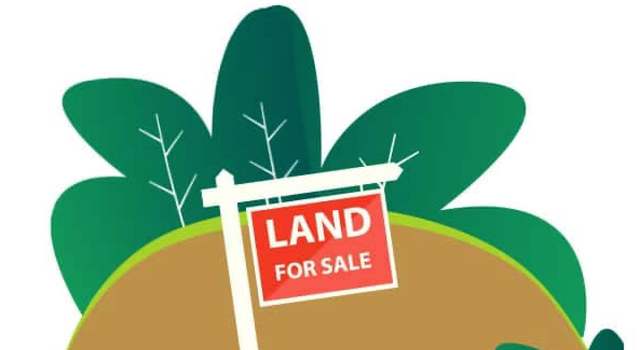 Photo of 20 Acres Cr 531 Rd, Monette, AR 72447