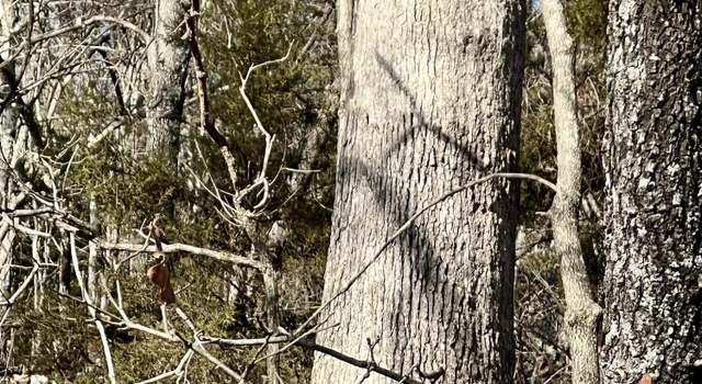 Photo of 000 Starfield Trl, Mammoth Springs, AR 72554