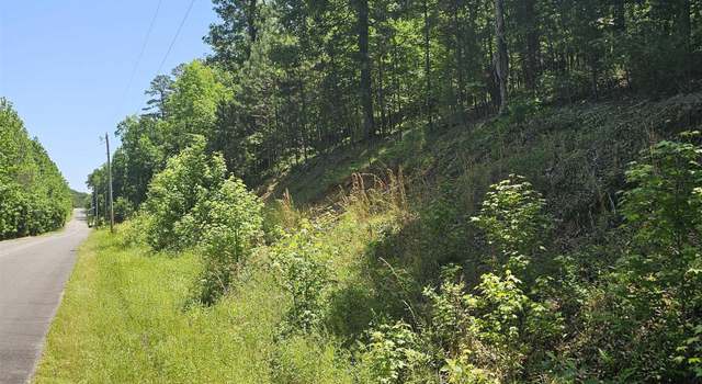 Photo of 21 Bald Eagle, Paron, AR