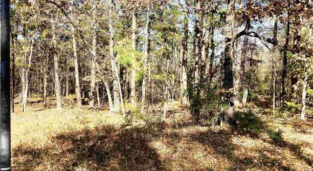 Photo of 1 Veranillo Ln, Hot Springs Village, AR 71909