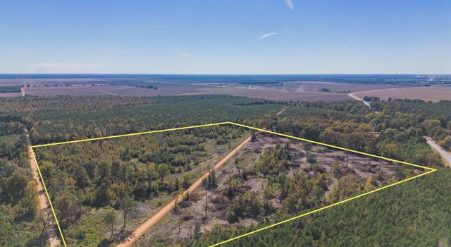 Photo of 00 Ashley County 64, Montrose, AR 71658