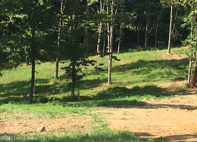 Property at 159C Sylvan Ct, Leitchfield, KY 42754