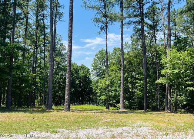 Property at 8 Marina Point Ln, Falls Of Rough, KY 40119