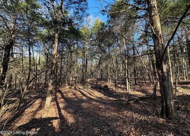 Property at 2299 Lone Star Rd, Upton, KY 42784