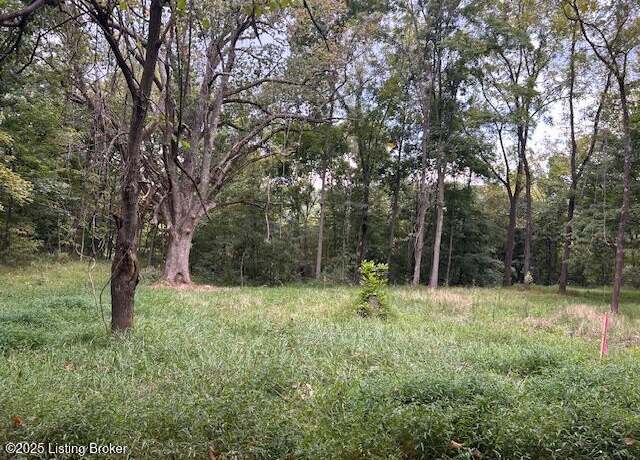Property at Lots 48-49 Peach St, New Haven, KY 40051