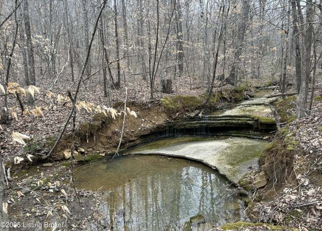 Property at LOT 13&16 Saltsman Dr, Leitchfield, KY 42754