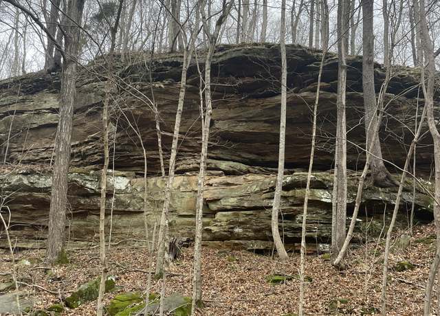 Property at 580 Christopher Ln, Leitchfield, KY 42754