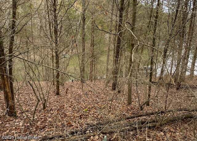 Property at 212-213 Tim Tam Dr, Bagdad, KY 40003