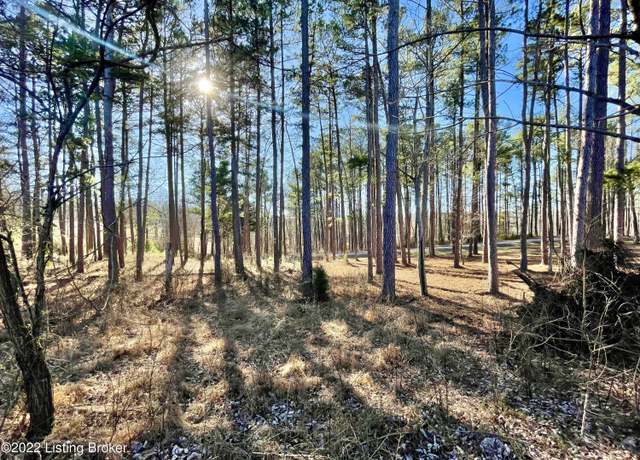 Property at 0 Marina Fountain Ln, Falls Of Rough, KY 40119