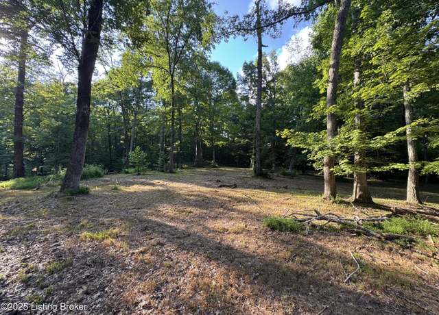 Property at 1193 Patriots Landing Ln, Falls Of Rough, KY 40119