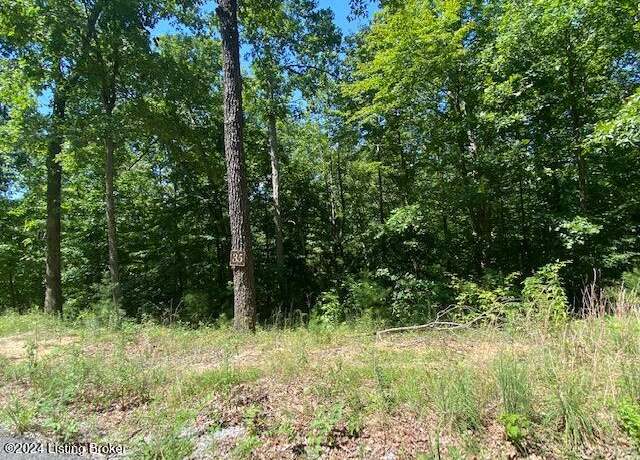 Property at 35 Tulip Poplar Ln, Leitchfield, KY 42207