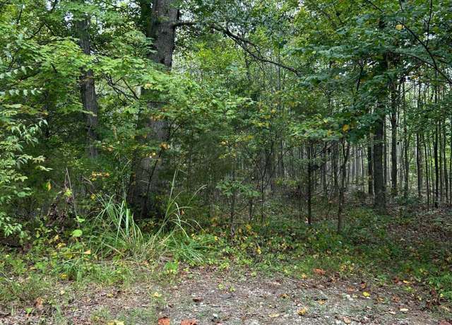 Property at 0 Big Chief Ln, Rineyville, KY 40162