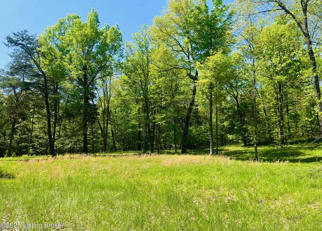 Property at 1179 Patriots Landing Ln, Falls Of Rough, KY 40119