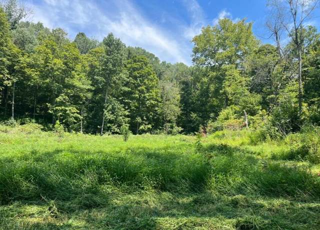 Property at 799 Cherokee Trail Ln, Custer, KY 40115