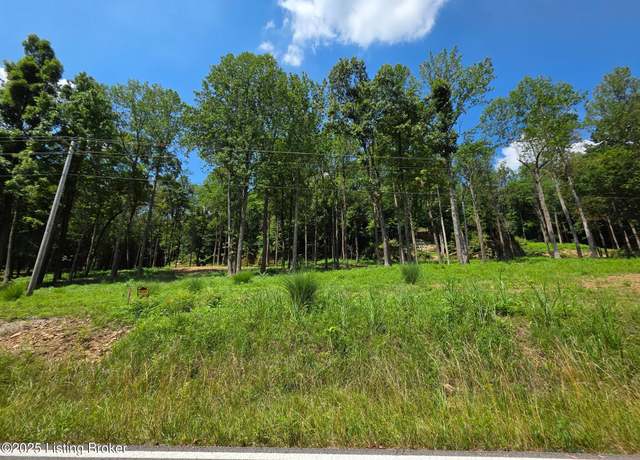 Property at 1 Cave Creek Rd, Falls Of Rough, KY 40119