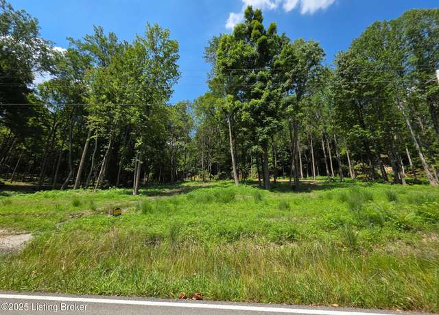 Property at 2 Cave Creek Rd, Falls Of Rough, KY 40119