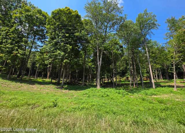 Property at 4 Cave Creek Rd, Falls Of Rough, KY 40119