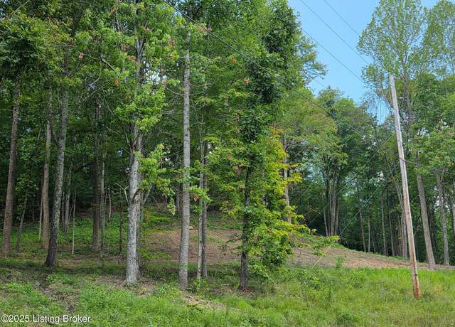 Property at 6 Cave Creek Rd, Falls Of Rough, KY 40119