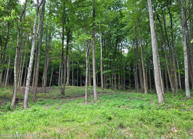 Property at 7 Cave Creek Rd, Falls Of Rough, KY 40119