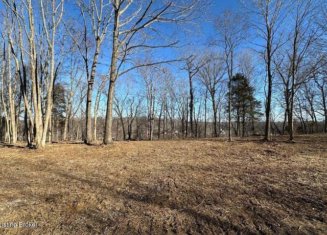 Property at L7 1126 Thomason Cemetery Rd, Leitchfield, KY 42754